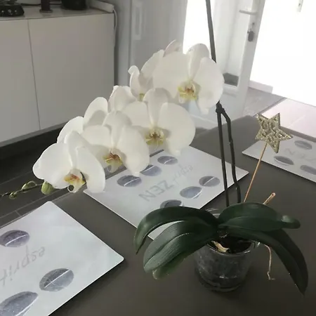 Petite Maison Independante